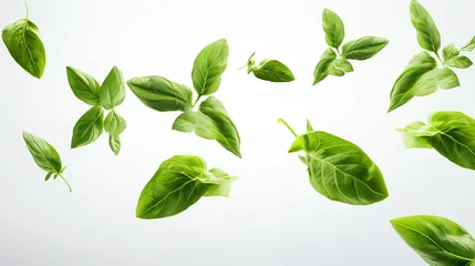 Foto op Canvas A group of soaring basil leaves against a white backdrop, close up, raw food, falling, Generative AI. © Concept Killer