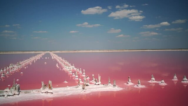 pink salt lake with microalgae Dunaliella salina. Pond of a salt mining enterprise, marking posts