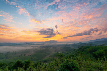 Obraz premium Sunrise on Long Coc tea hill, Phu Tho province, Vietnam.