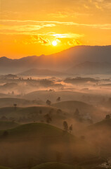 Sunrise on Long Coc tea hill, Phu Tho province, Vietnam.