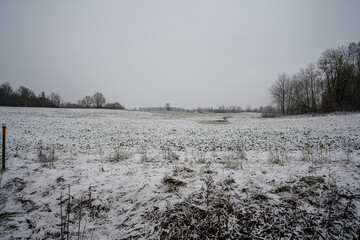 frozen agriculture fields in winter - 708443116