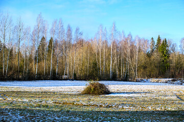 frozen agriculture fields in winter - 708443145
