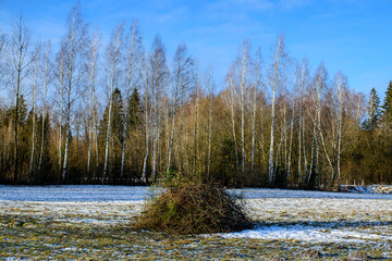 frozen agriculture fields in winter - 708443164