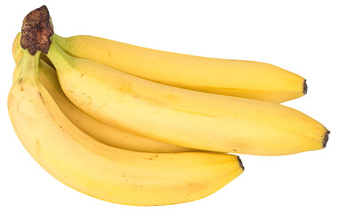 Bunch of yellow bananas isolated on white or transparent background