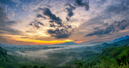 Sunrise on Long Coc tea hill, Phu Tho province, Vietnam.