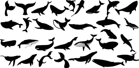 Whale silhouettes, diverse shapes, sizes, Whale vector illustration, black isolated on white background. Perfect for ocean-themed designs, educational graphics, nature-inspired artwork