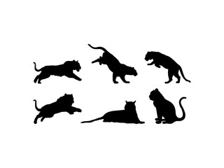 Set of Tiger Silhouette in various poses isolated on white background