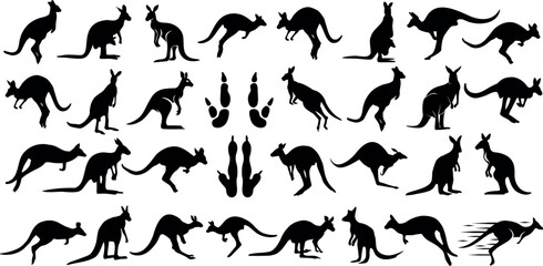 Kangaroo silhouettes, diverse poses, black kangaroo graphics on white background. Ideal for wildlife, nature themes, Australia-related designs. Vector illustration