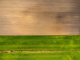 Ploughed field and fresh field