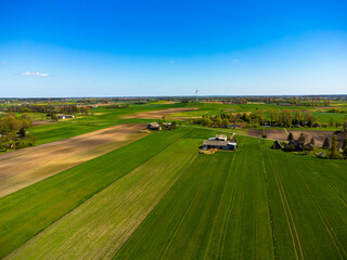 Aerial view, green fields. Poland, Europe