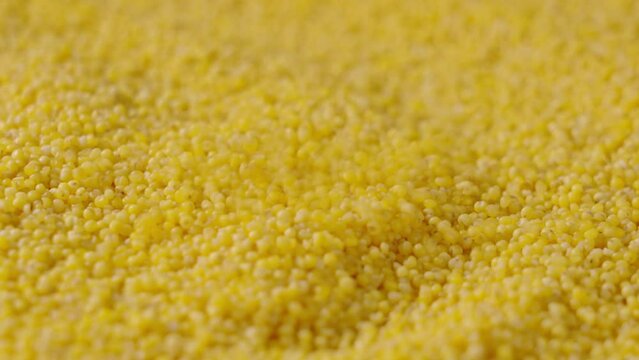 organic millet seeds grain texture background