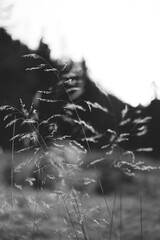 Black and white delicate forest