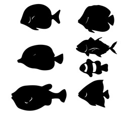 set of fish