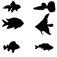 silhouettes of fish