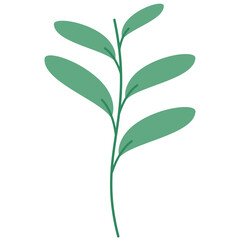 Botanical Decoration Elements Vector 