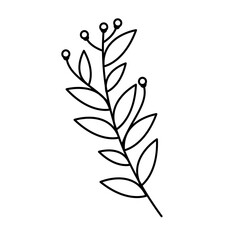 Botanical Decoration Elements Lines Style Vector 