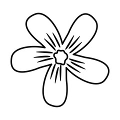 Doodle Flower Lines Style Illustration Vector 