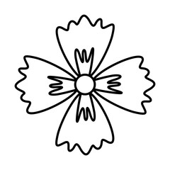 Doodle Flower Lines Style Illustration Vector 