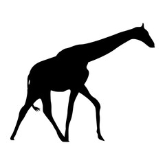 vector hand drawn giraffe silhouette