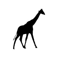 vector hand drawn giraffe silhouette