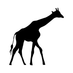 vector hand drawn giraffe silhouette