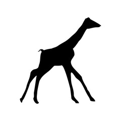 vector hand drawn giraffe silhouette