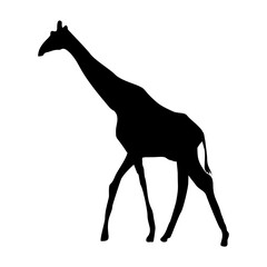 vector hand drawn giraffe silhouette