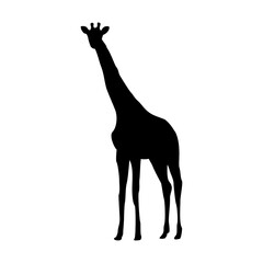 vector hand drawn giraffe silhouette