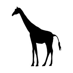 vector hand drawn giraffe silhouette
