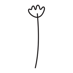 Flower cute doodle Lines Style vector illustration 