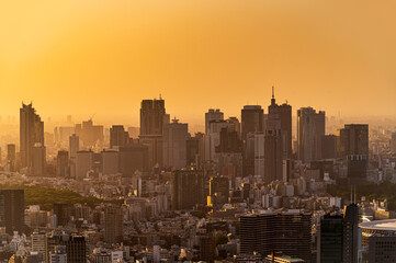 Skyline of tokyo city with gold light sunset or sun rise sky background in winter season, Tokyo, Japan