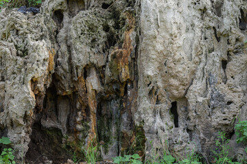 Rock cliff background, fossil rock, aquascape background material, paludarium
