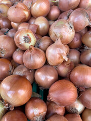 bulbs of onion on the market