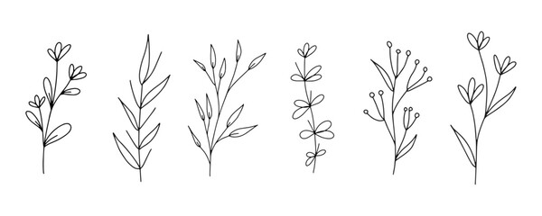 Set of botanical line art floral leaves, plants. Hand drawn sketch branches isolated on white background. Vector illustration	 - obrazy, fototapety, plakaty