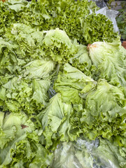 fresh green lettuce leaves in farmers market
