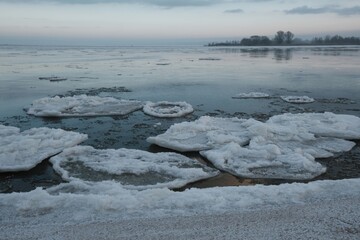 Shuga - ice floe in shape of discs. An interesting phenomenon on Vistula river. The estuary of  Vistula, Sobieszewska Island, Poland