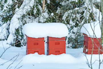 A red apiary or bee hive is covered and snow as it sits outside during the cold winter.