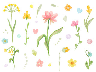 Watercolor meadow flowers isolated on a transparent background, PNG - Vintage set. Mother's Day. Wallpaper. Spring. Summer.