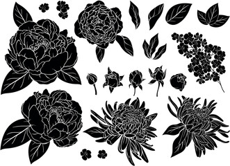 Set of silhouettes of roses, peonies, asters - obrazy, fototapety, plakaty