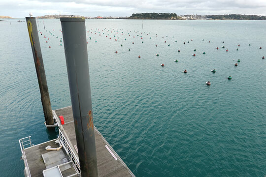 Bou&eacute;es de mouillage dans le port de Dinard