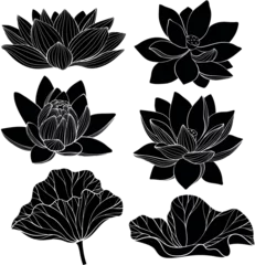 Foto op Canvas Set of lotus silhouette. Lotus flower © mirifadapt