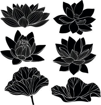 Set of lotus silhouette. Lotus flower