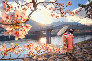 Young Japanese  woman in a traditional Kimono dress stroll by  Prefectural Uji Park during full bloom cherry blossom in Kyoto, Japan