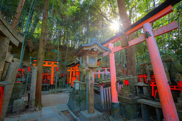 Fototapeta na wymiar Fushimi Inari-taisha in Kyoto, Jpan built in 1499, it's the icon of a path lined with thousands of torii gate 