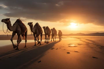 Fotobehang A caravan of dromedary camels walking in line on a sandy beach © Davivd