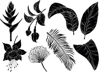Tropical flowers and leaves silhouettes. - obrazy, fototapety, plakaty