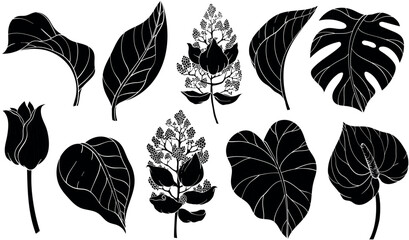 silhouettes of tropical jungle plants. - obrazy, fototapety, plakaty