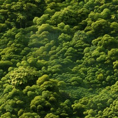 Aerial forest pattern   enchanting view of natures serene beauty and captivating allure