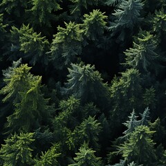 Fototapeta premium Seamless pattern of a breathtaking forest landscape with an enchanting aerial view from above