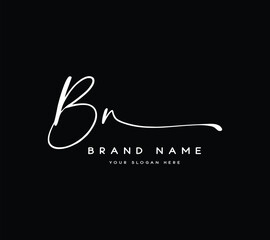 letter BN B N handwriting and signature logo template vector